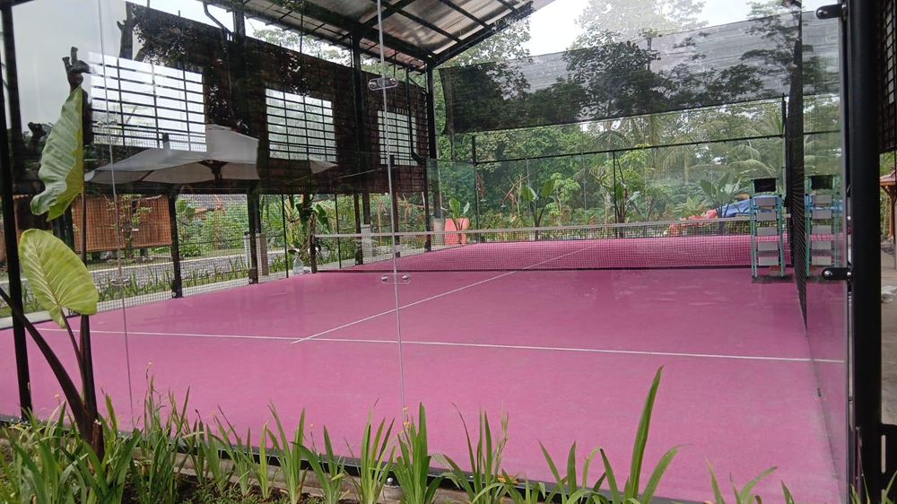 Rumput Padel Pink